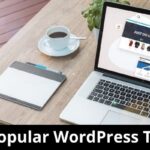 Most Popular WordPress Themes